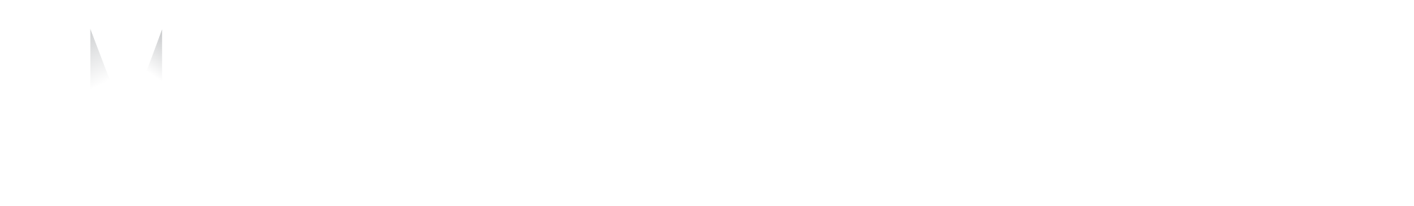 Meta Core Fortune Logo